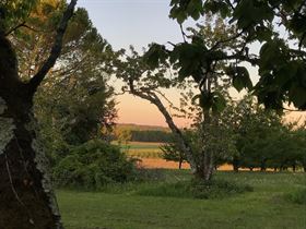 Camping Côté Verger