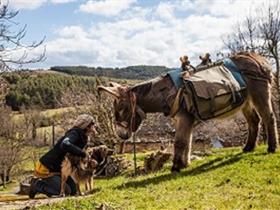 Camping à La Ferme de Ribevenes