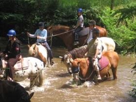 Camping Ferme de Caffoulens