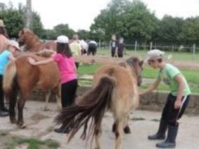 Camping à La Ferme aux Poneys