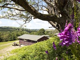 Camping La Ferme du Moncel