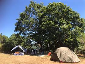 Camping La Forêt du Dragon