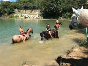 Camping Domaine de Montaut Ferme Equestre