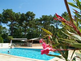 Camping Les Pins de La Coubre