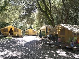 Camping Huttopia Oléron Les Chênes Verts