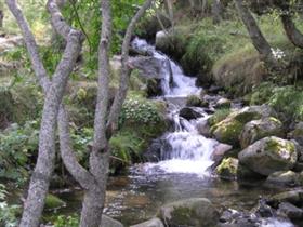 Camping L'Orri de Planès