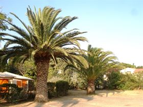 Vakantiepark Pas Del Fang