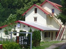 Total Art Oasis