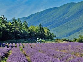 Vakantiepark La Colline des Ocres