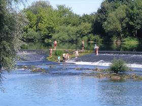 Camping de L&apos;ile Ranchot
