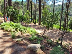 Camping U Valdo