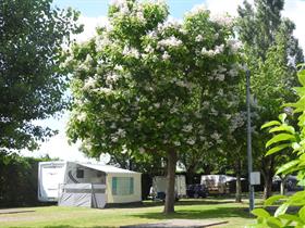 Camping Aire Naturelle La Grange