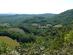 Camping Naturiste Millefleurs