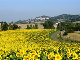 Camping Clos des Oiseaux