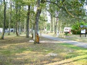 Camping Municipal de La Noue