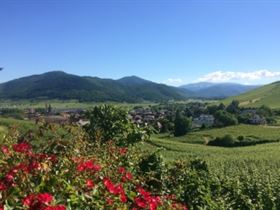 Camping Le Médiéval