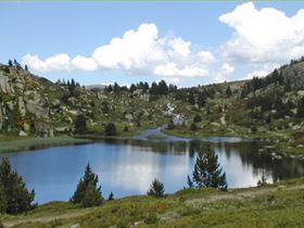 Camping Le Bois de Pins