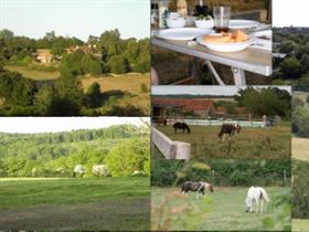 Camping à La Ferme Equestre La Vallée des Cerfs