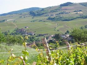 Camping Domaine Franck Besson