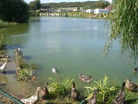 Vakantiepark L'Auberge des Etangs