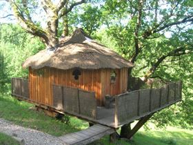 La Cabane dans L'Arbre