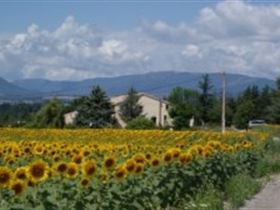 Camping Naturiste Centre Pardigue Camping Naturiste Centre Pardigue