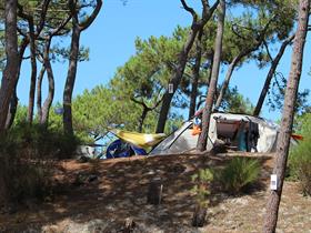 Camping Municipal du Cap de L'Homy