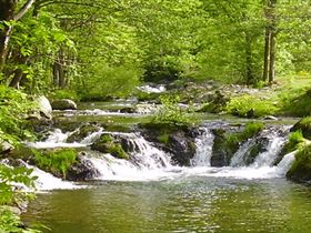 Camping Aire Natuerelle Le Moulin de Charrier