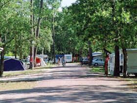 Camping Municipal Les Oyats