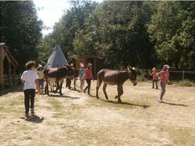 Camping a La Ferme Asinerie d'en Manaou