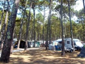 Camping Bremontier