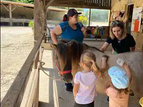 Camping á La Ferme Centre Equestre La Métairie du Roc