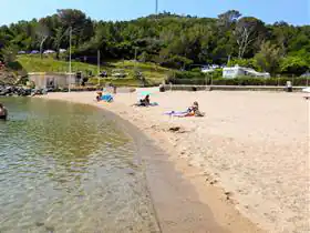 Royal Camping