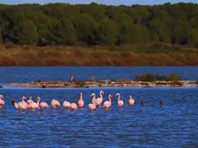 Camping L'Aigue Marine