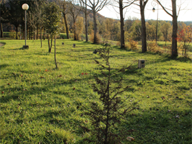 Camping Le Bouloc