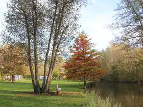 Camping Ile de Boulancourt