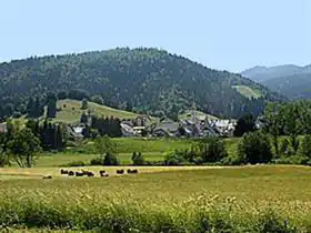 Camping Les Buissonnets