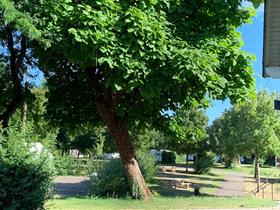 Camping Municipal de La Tour