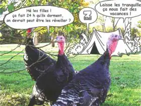 Camping à La Ferme de La Tour
