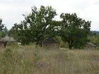 Camping à La Ferme Lasfargues