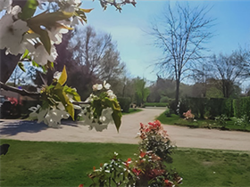 Camping Le Sologne