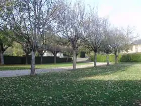 Camping Aire Naturelle de Pruinis