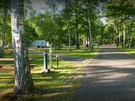 Onlycamp Camping des Pins