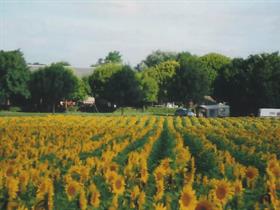 Camping Aire Naturelle Chenegron