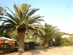 Vakantiepark Pas Del Fang