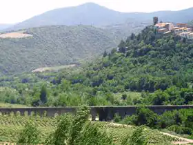 Camping Les Amis de Mô