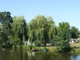 Camping du Lion d&apos;Angers