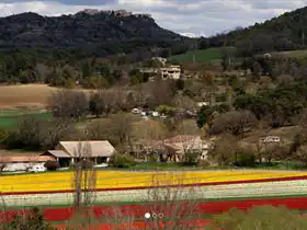 Camping à La Ferme Equestre Les Coccinelles