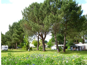 Camping Aire Naturelle La Prairie