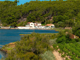 Camping Ensoya